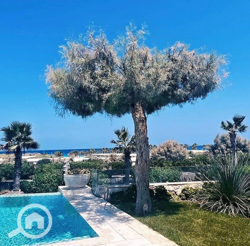 5 532190275_3072005879604774_8273169831827048119_n. jpg