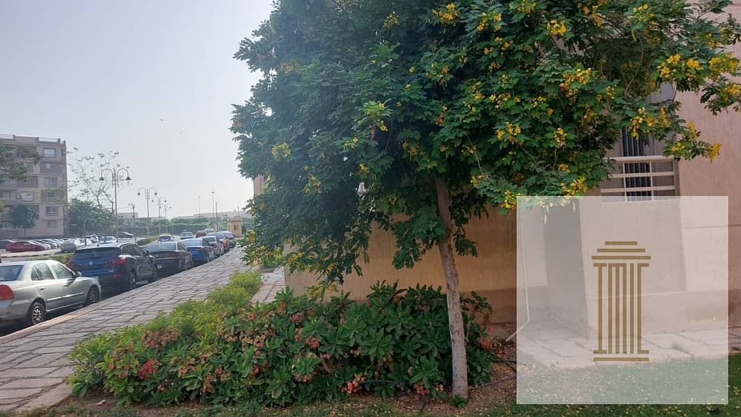 5 WhatsApp Image 2025-11-03 at 7.35. 18 AM. jpeg