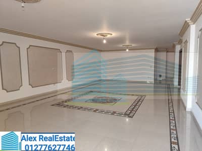 4 Bedroom Apartment for Rent in Smoha, Alexandria - WhatsApp Image 2025-11-02 at 8.20. 54 AM. jpeg