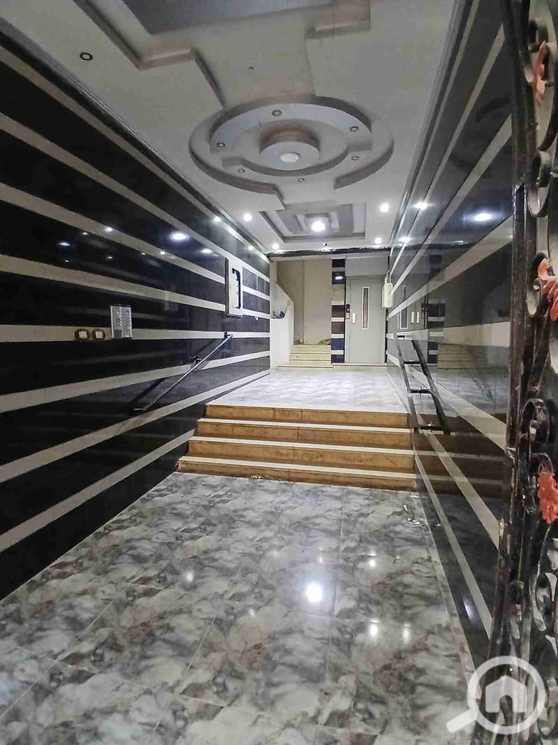 1000119344. heic 1000119344. heic