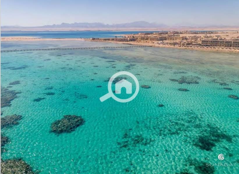 9 Screenshot_27-2-2024_14495_. jpeg