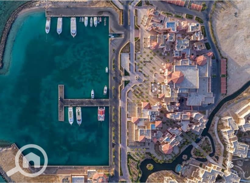 12 Screenshot_27-2-2024_144653_. jpeg