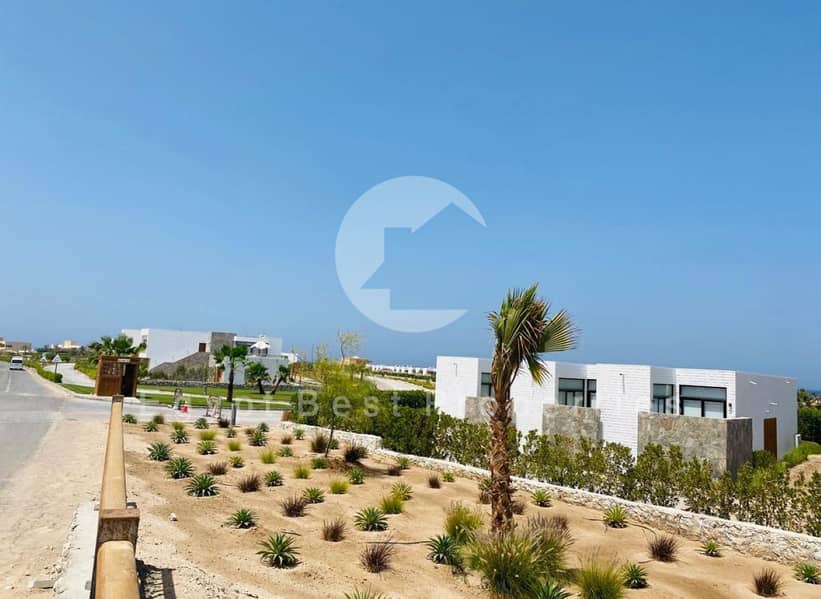 17 IMG-20250228-WA0305. jpg