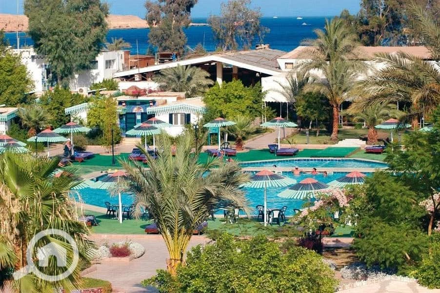 FB_IMG_1762189567567. jpg