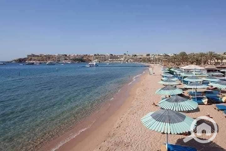 6 FB_IMG_1762189473682. jpg