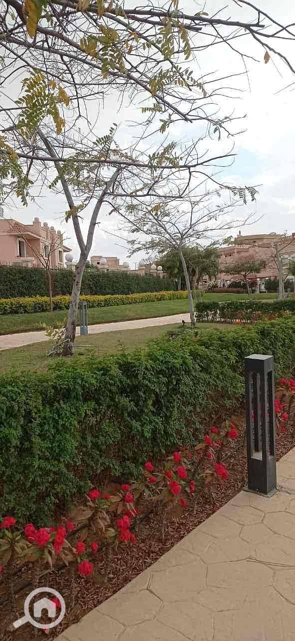 10 556d8b57-0a31-4a58-910b-1a067a22b0bc. jpg