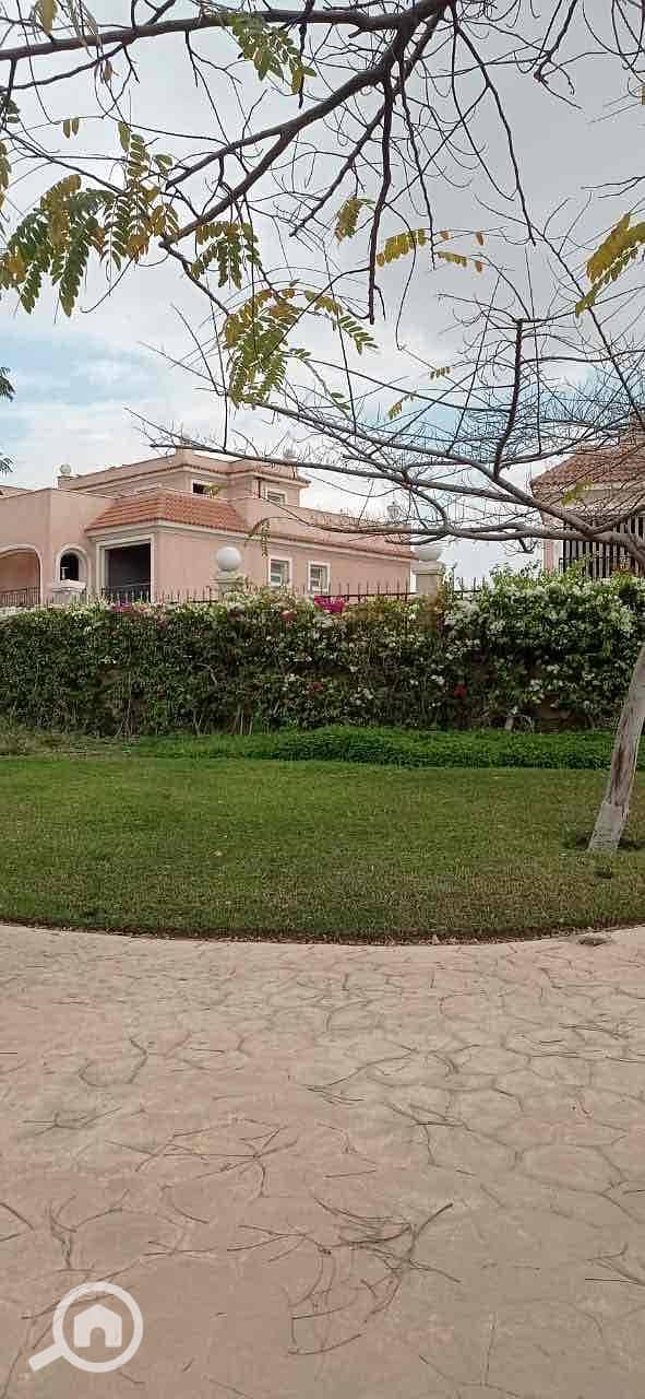 14 065512fa-8a72-4e4e-af28-b509f8a855ad. jpg