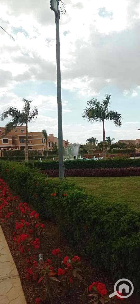 15 4d1d6fc5-209b-44ee-b7b8-b1a793ec44df. jpg