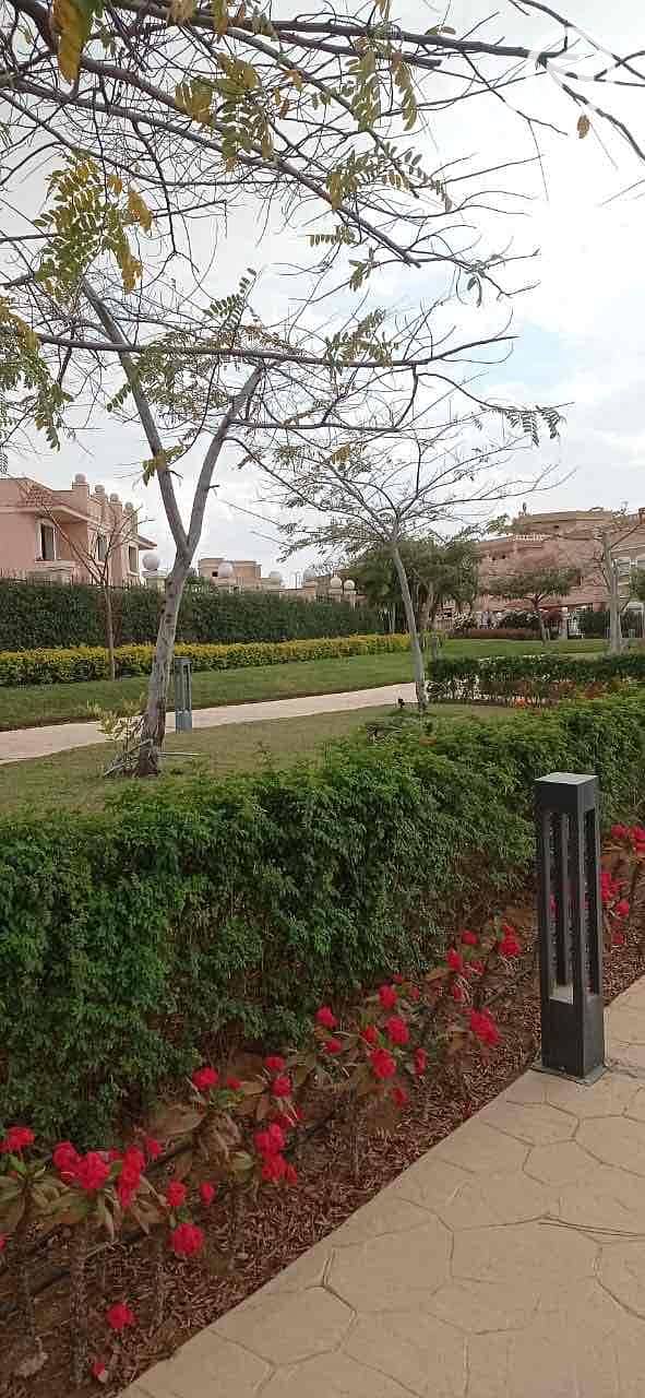 17 556d8b57-0a31-4a58-910b-1a067a22b0bc. jpg