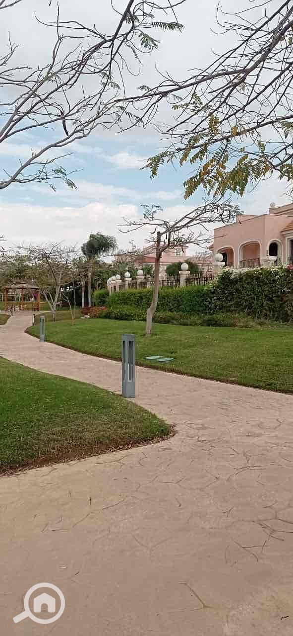 19 cfe964f5-fc55-4b73-8aa4-c7c0c6309b13. jpg