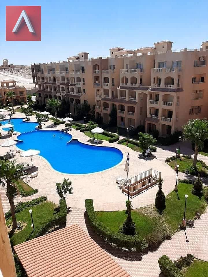 5 449461336_1007820794390928_8988640308606166602_n. jpg