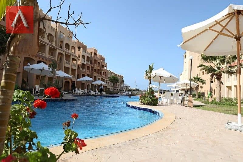 7 394318045_122133455906026785_6468130429703340091_n. jpg