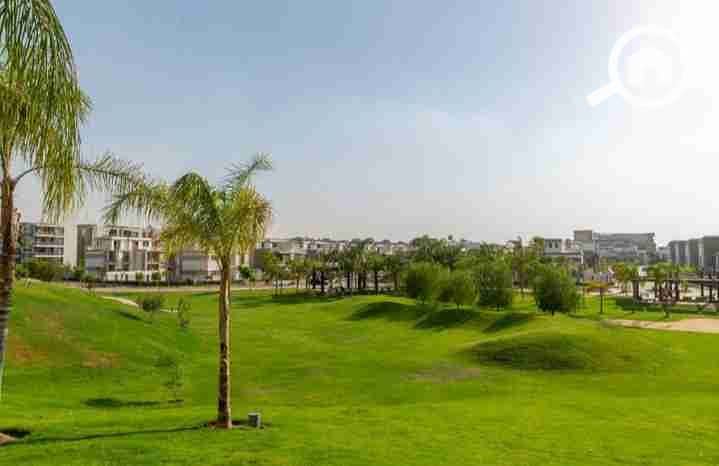 25 IMG_٢٠٢٥١٠٠٣_١٨٠٦٥٣. jpg