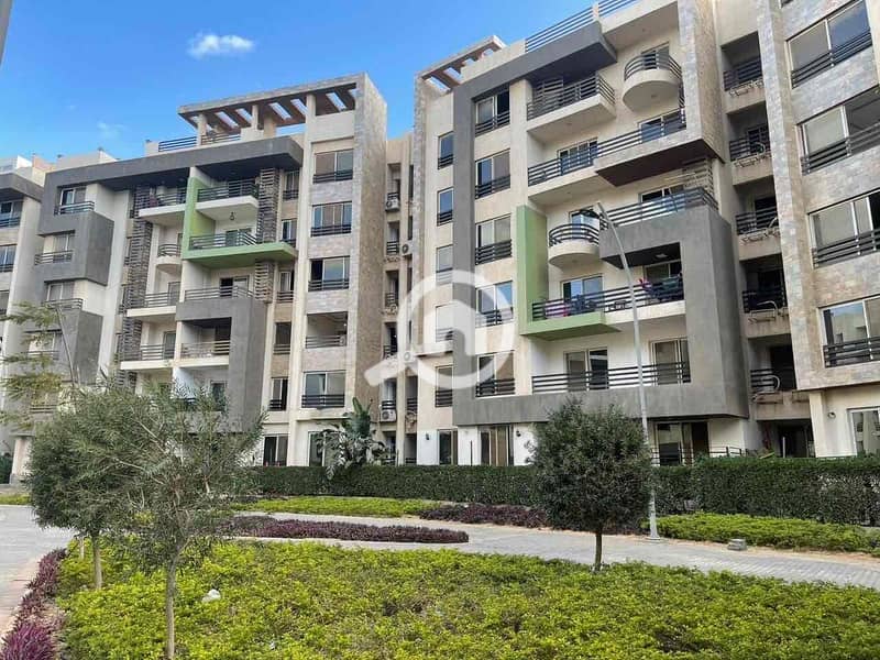 10 cf8c152a-47f7-4e65-b392-560fcce555fb. jpg