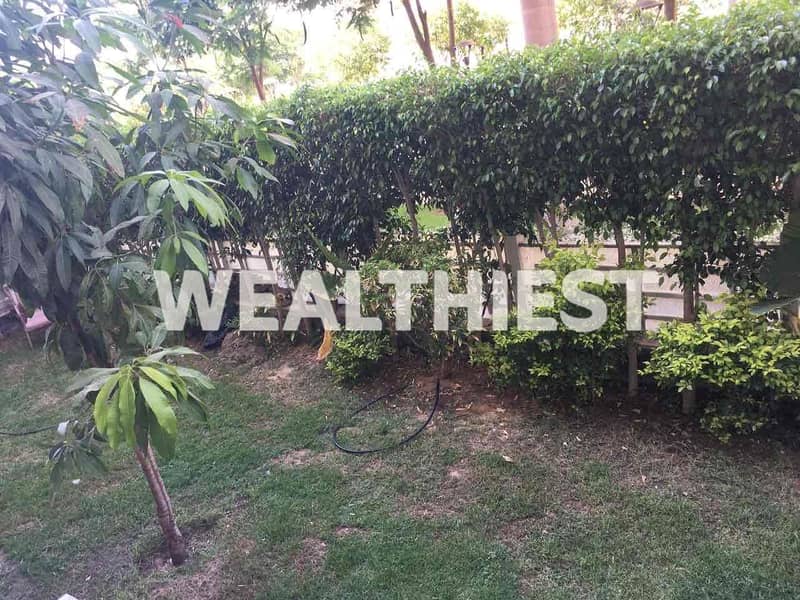 2 34ea90c8-1410-4b29-ae3c-0badd896a3b2. jpg