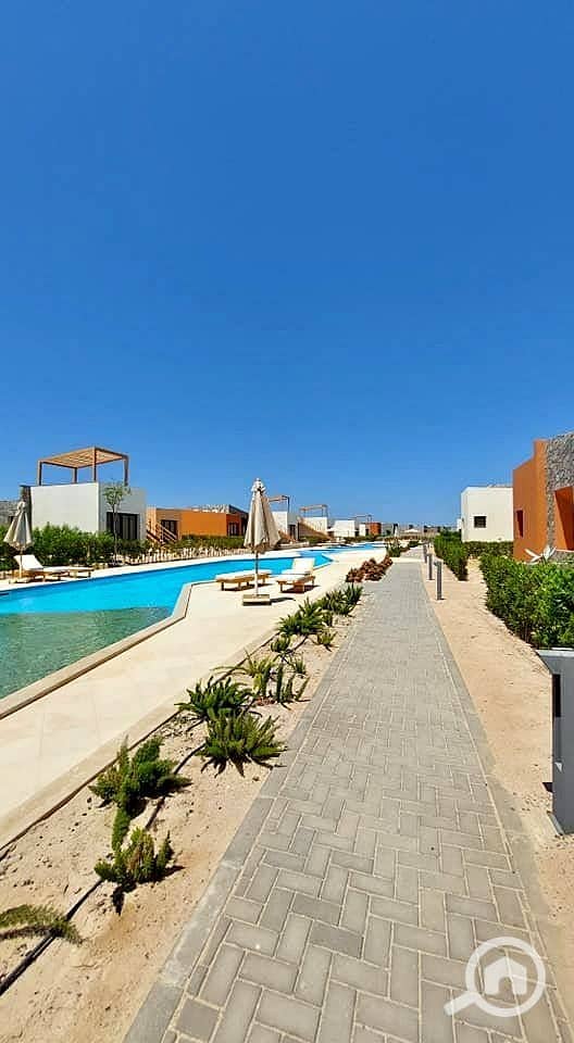 13 561891794_680563424666283_8559710792213358087_n. jpg