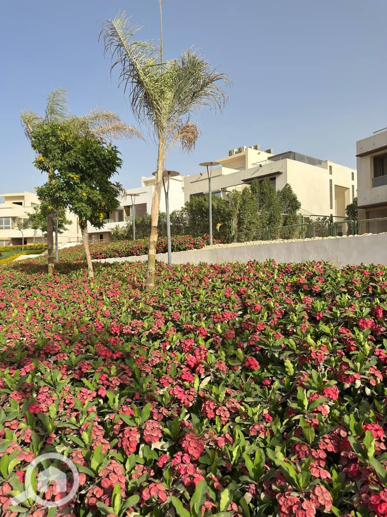 9 WhatsApp Image 2025-05-12 at 16.42. 41 (2). jpeg