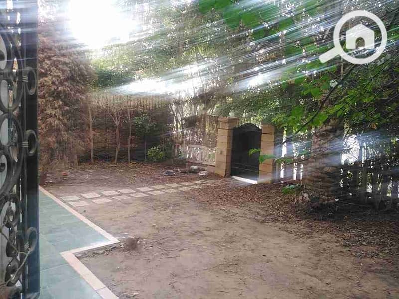 4 IMG-20251029-WA0019. jpg