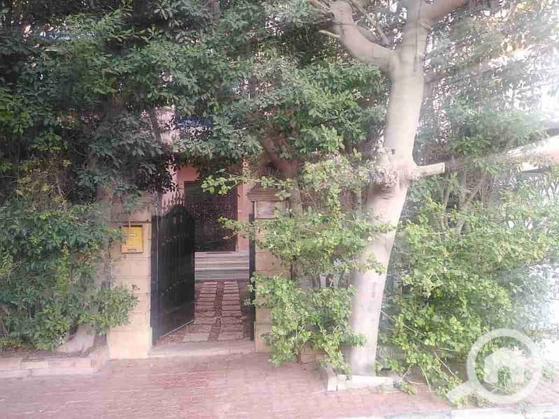 7 IMG-20251029-WA0016. jpg