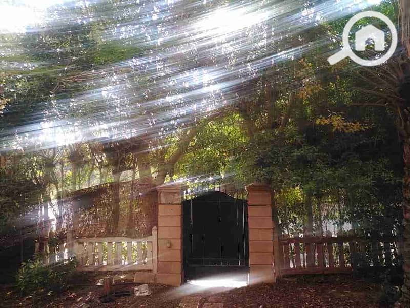 9 IMG-20251029-WA0015. jpg