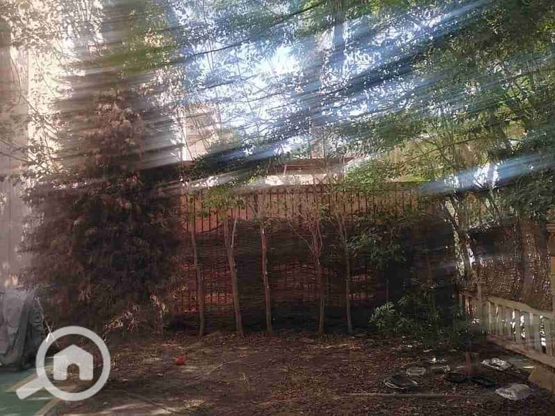 11 IMG-20251029-WA0020. jpg