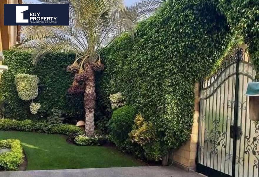 9 e4198128-e15d-4932-864a-a19f6b0e134d. jpg