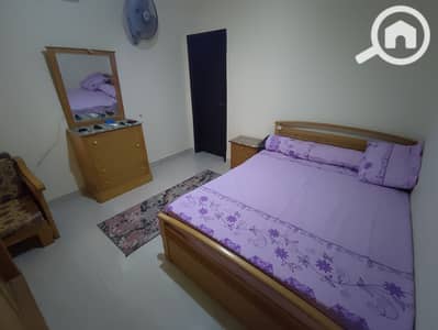 شاليه 2 غرفة نوم للايجار في العين السخنة، السويس - 1750339300814. jpg شاليه 2 غرفة نوم للايجار في العين السخنة، السويس - 1750339300814. jpg