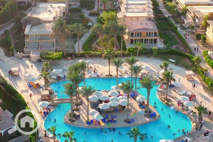 33 630f396caae0a_20. jpg