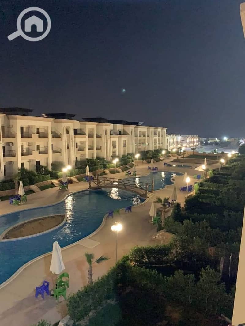 43 1750965671333. jpg