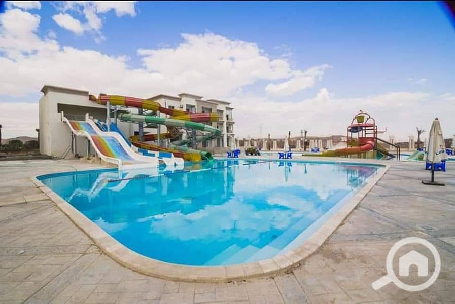 50 1742670967346. jpg