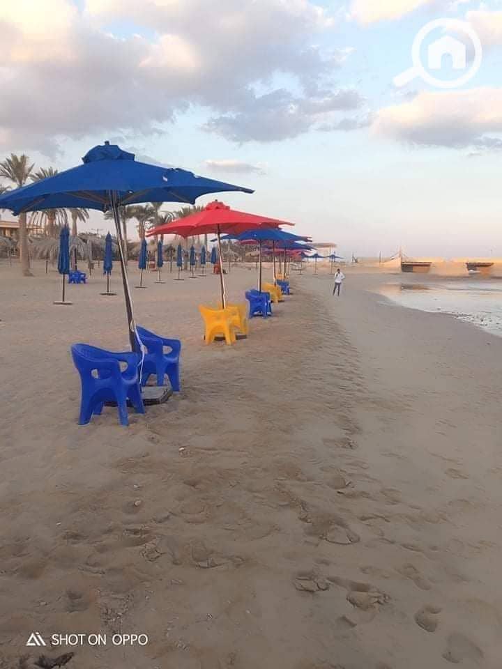 52 1742670967372. jpg