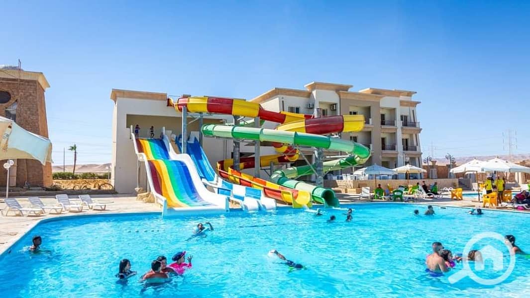 55 1742670967489. jpg