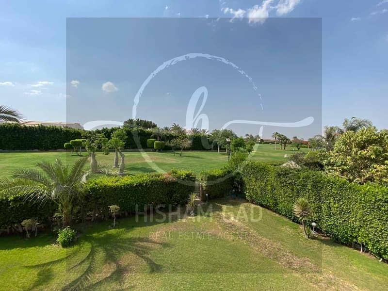 2 98c96a58-d976-4095-a85d-be4f4cec3719. jpg