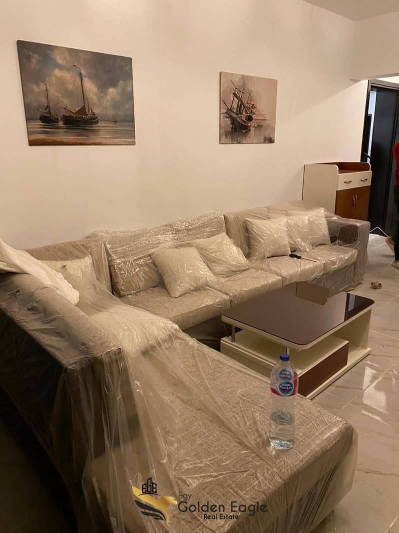 11 576651680_1501798341050693_8810163189349744128_n. jpg