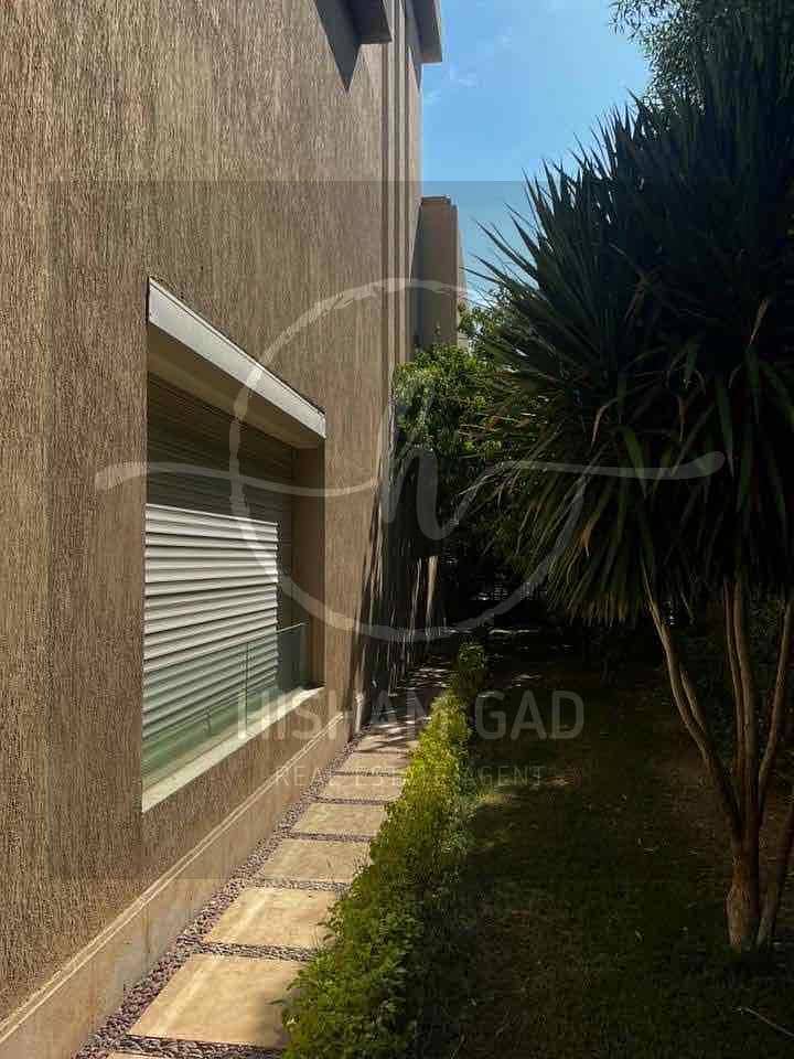 11 33824253-4d10-4c01-a5b1-a7a22e053a81. jpg