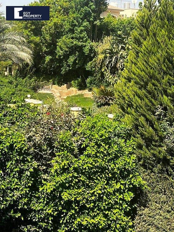 8 _files_d69becb1-ab96-48cf-868b-09df888be918. jpeg