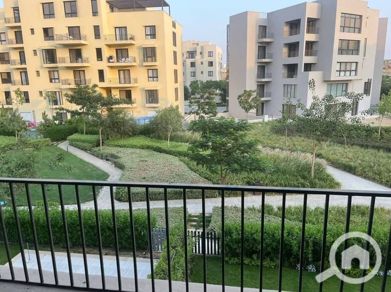 4 FB_IMG_1759440035776. jpg