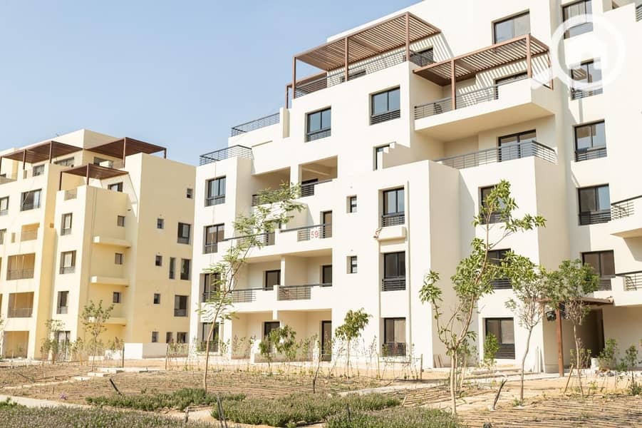 9 WhatsApp Image 2024-12-16 at 1.03. 41 PM. jpeg