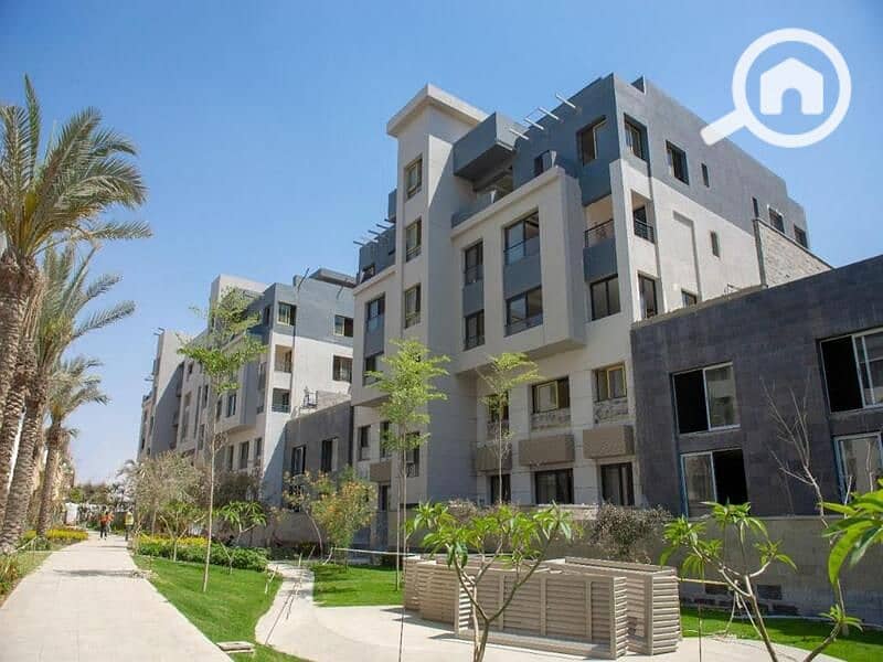 2 0c53c556-ed27-4fa3-9871-f797dfb543e0. jpg