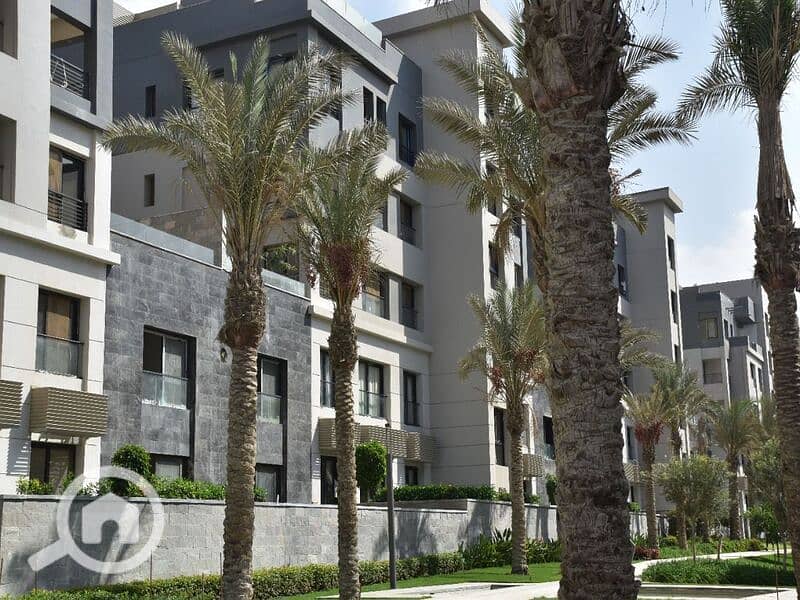 11 875cfe54-66cb-4233-8026-87fea15a6160. jpg