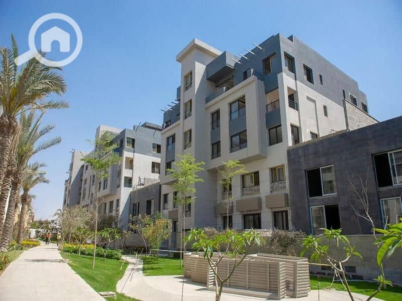 2 0c53c556-ed27-4fa3-9871-f797dfb543e0. jpg