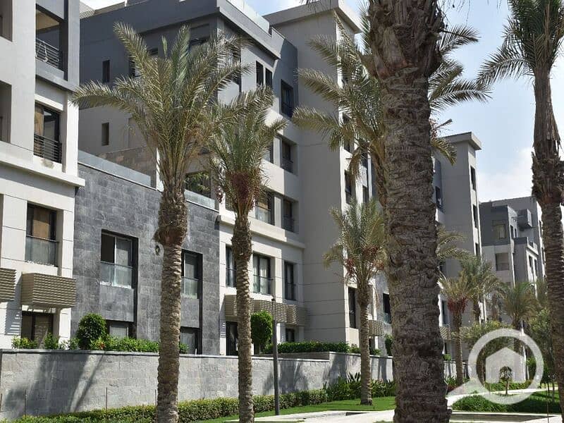 11 875cfe54-66cb-4233-8026-87fea15a6160. jpg