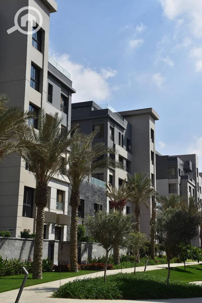 15 472747894_570143172561856_7466370857338781073_n. jpg