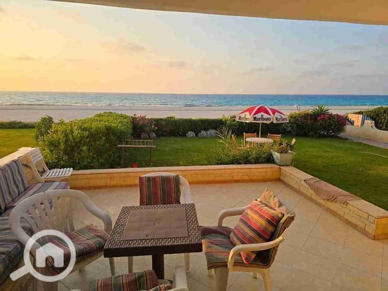 1000531277. jpg 1000531277. jpg