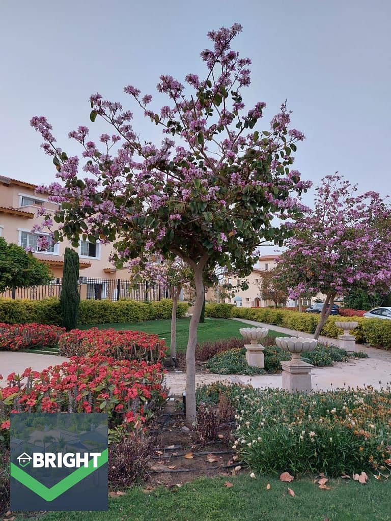 9 WhatsApp Image 2025-11-03 at 5.38. 18 PM (2). jpeg