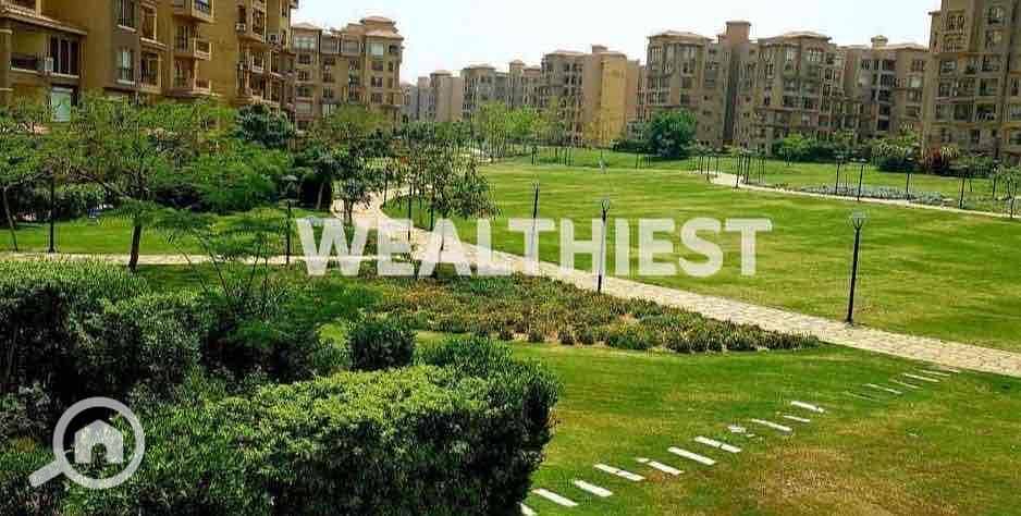 cf9e92c8-931a-4f48-92f7-08a7bcc86f88. jpg cf9e92c8-931a-4f48-92f7-08a7bcc86f88. jpg