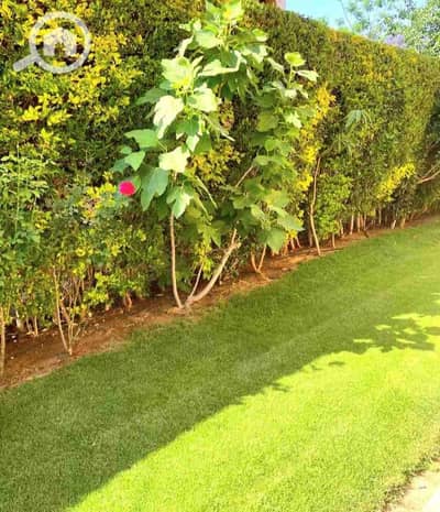 5 Bedroom Twin House for Sale in New Cairo, Cairo - 1000526299. jpg