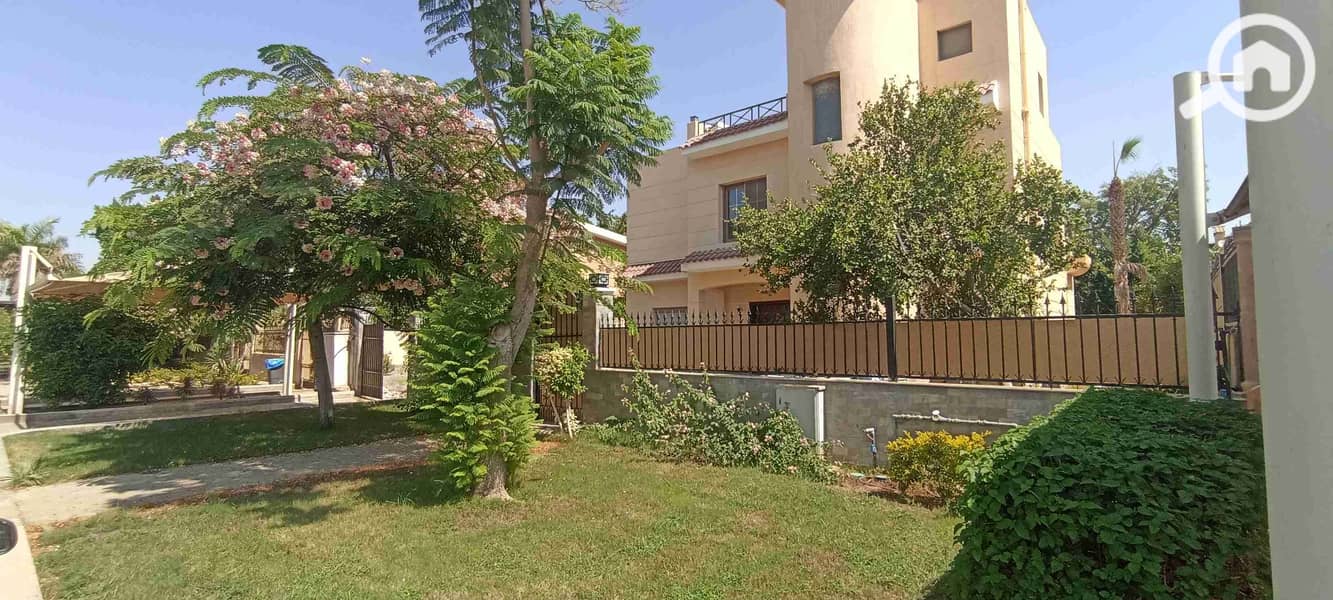 37 IMG_٢٠٢٥٠٩٢٧_١٢١٣١٧. jpg