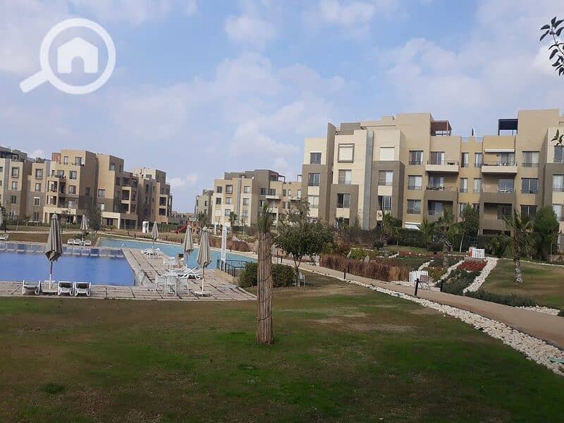 12 117303295_2088286934647977_5919165019143648329_n. jpg