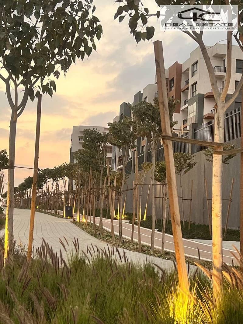 4 WhatsApp Image 2025-10-23 at 14.13. 24. jpeg